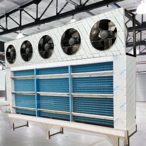 Dàn cấp đông 75Hp