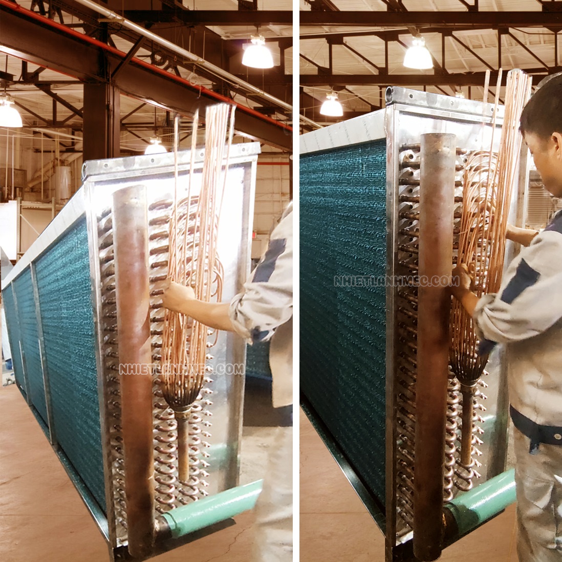 Dàn cấp đông 75Hp